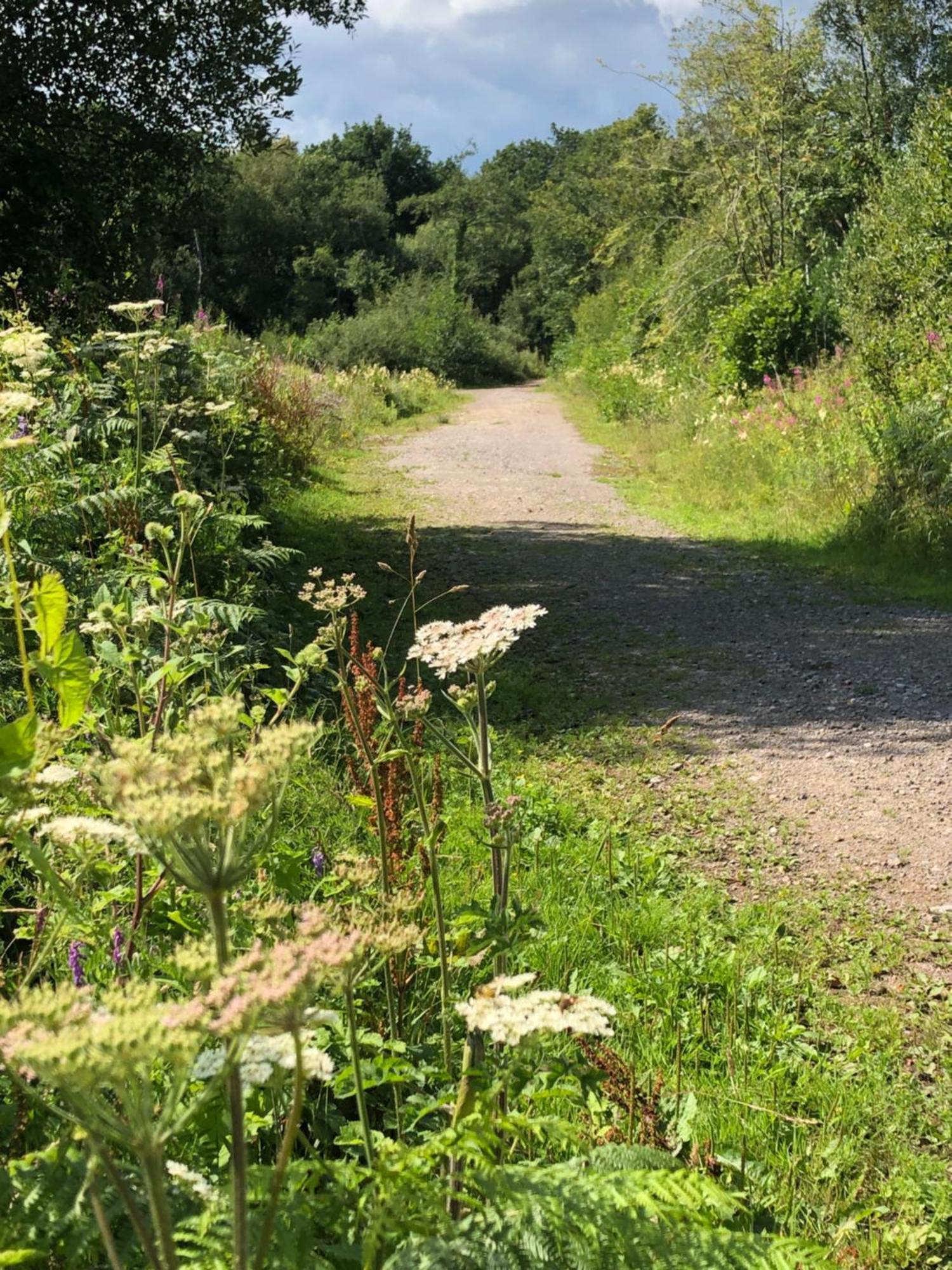Holiday home The Croft Cowbridge